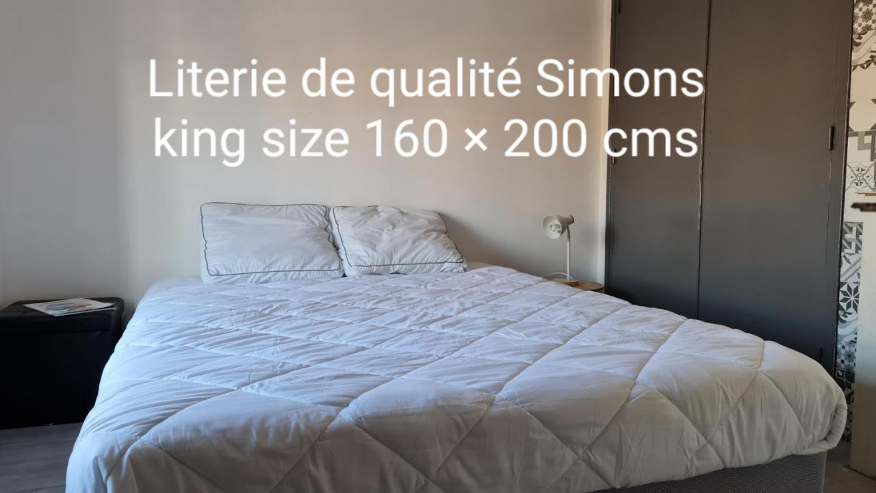 Le Studio De La Republique Agde Zewnętrze zdjęcie